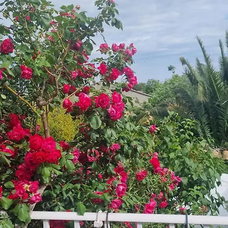 One Bedroom Chalet With Shared Pool Terrace And Wifi At Domek alpejski *
